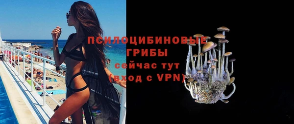 ALPHA PVP Касимов
